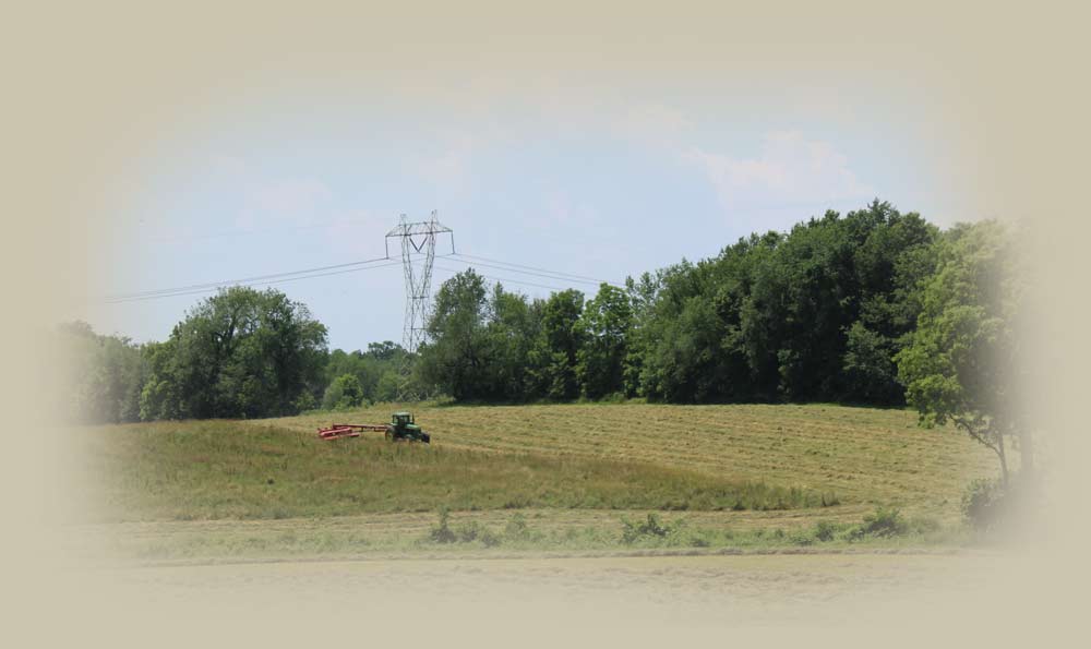 gf_familyfarms_hay_cuttings_feature