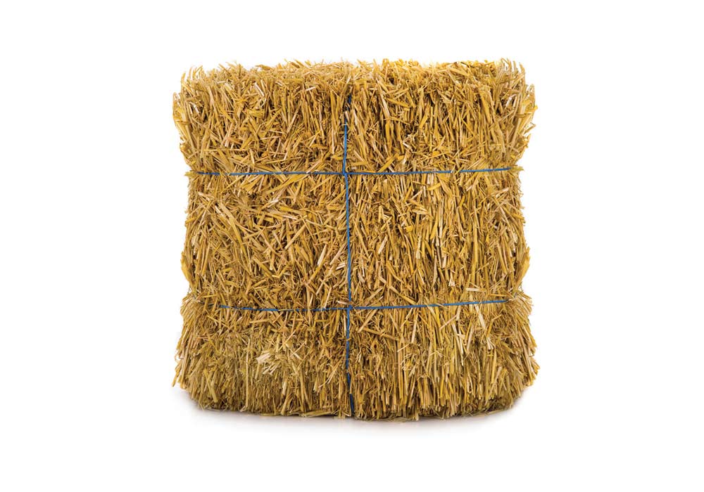 gf_familyfarms_hay_iso_6