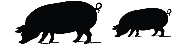 hogs_silhouette